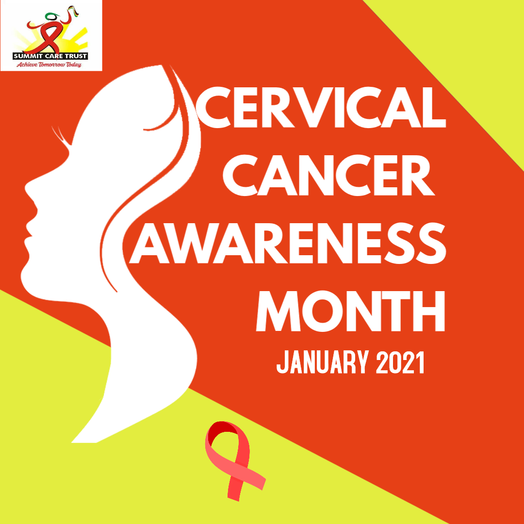 Summit Care Trust (@summitcare_zim) on Twitter photo 