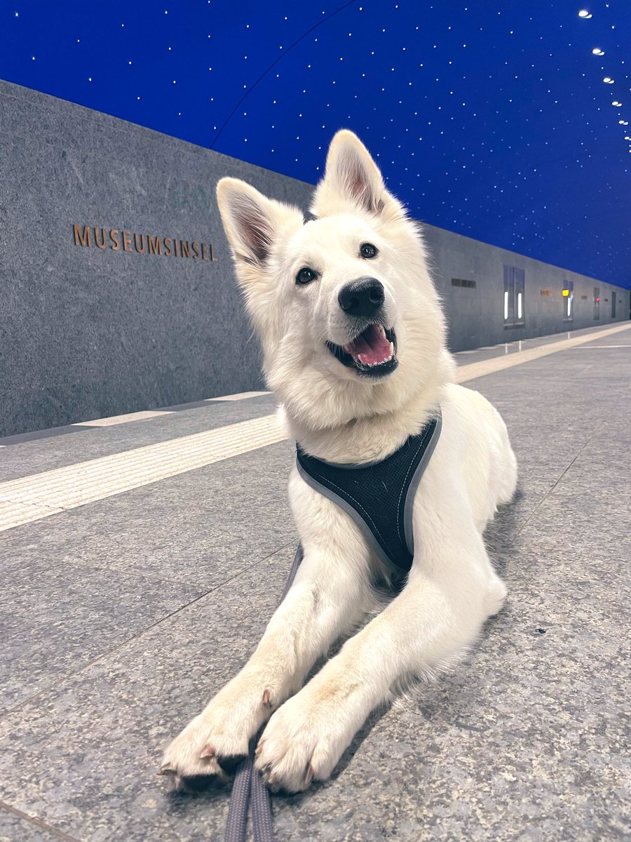 elektrisiert's tweet photo. @GauhlB Yeyy da bini gärn derbii🥳 https://t.co/BzJGs4a59e