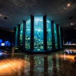 東海大学海洋科学博物館は？博物館と言う名の水族館!