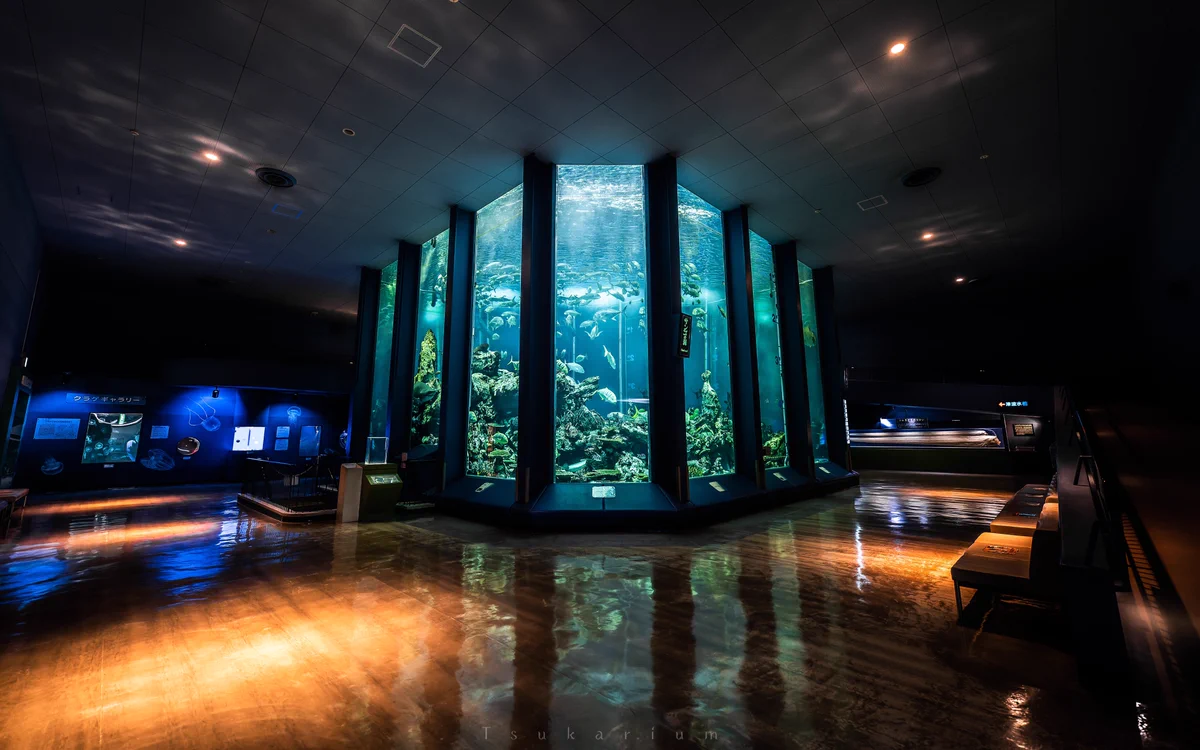 東海大学海洋科学博物館は？博物館と言う名の水族館！