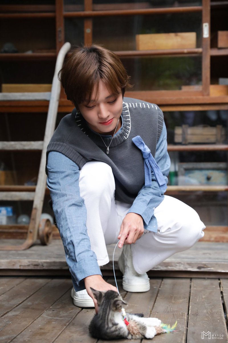 แพ้ผู้ชายรักแมว ><