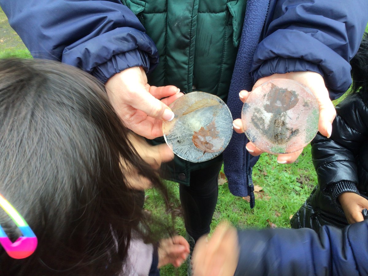 RP_Forest_sch's tweet photo. During Forest school St James‘ Park went on a scavenger hunt. They even played some games in our little tree maze. https://t.co/gPDivpqVeV