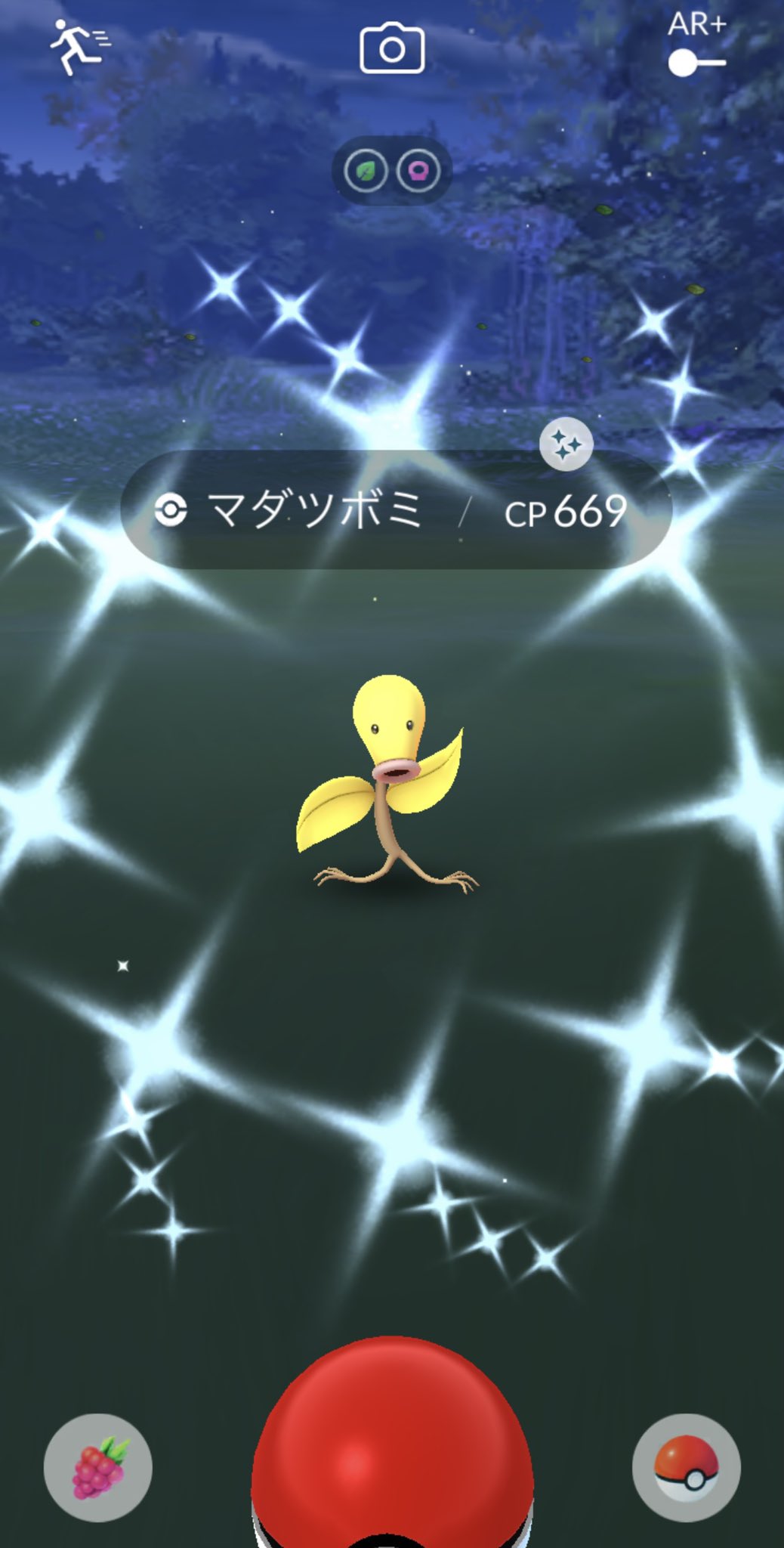 色違いマダツボミ Twitter Search Twitter