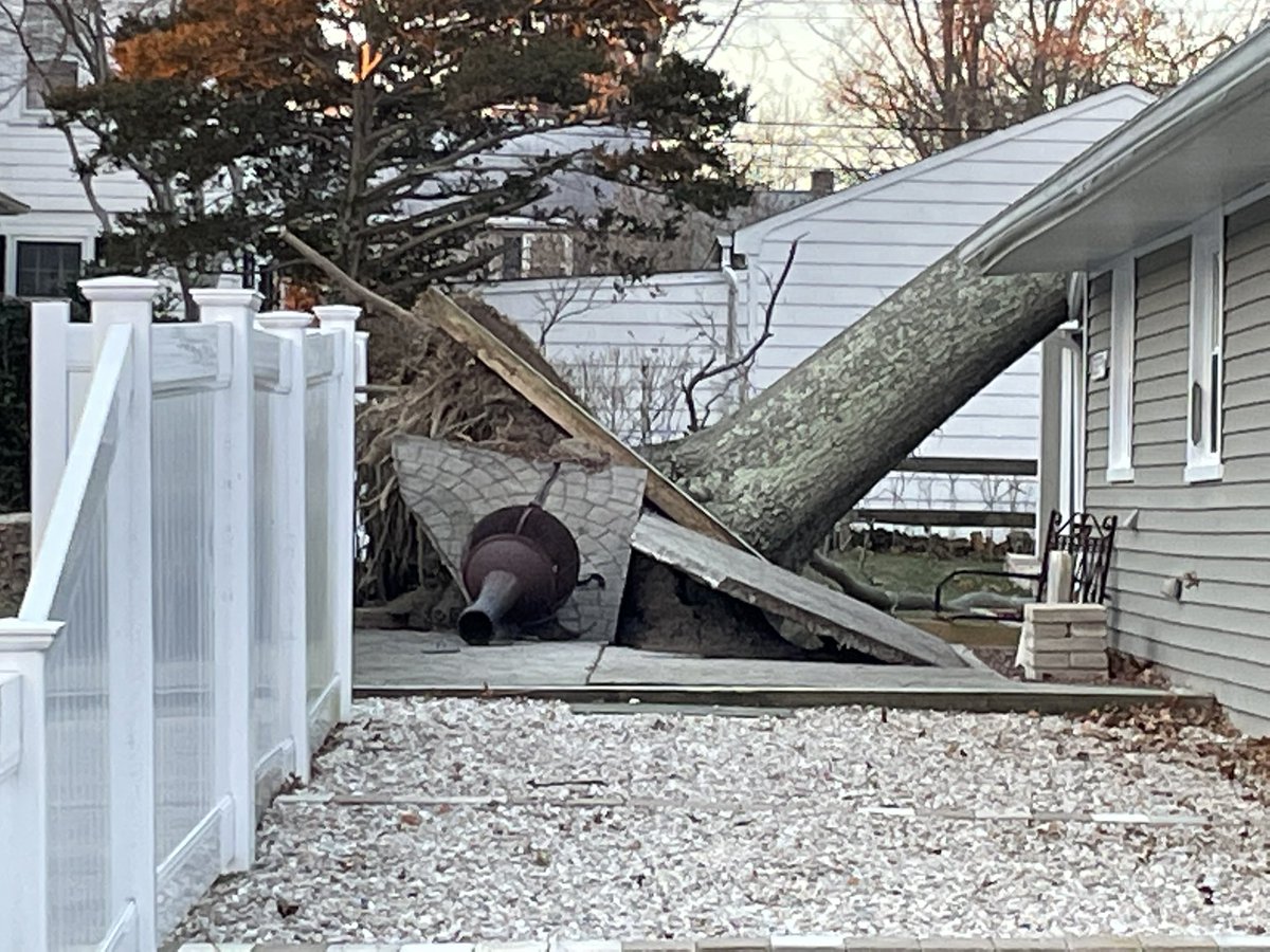 angelobav's tweet photo. Yikes. This neighbor in Milford still has some serious cleaning-up to do after yesterday’s storm. A tree toppled over onto the roof and branches are now sitting very close to power lines. Live report on @FOX61News. https://t.co/phZxelpTJJ