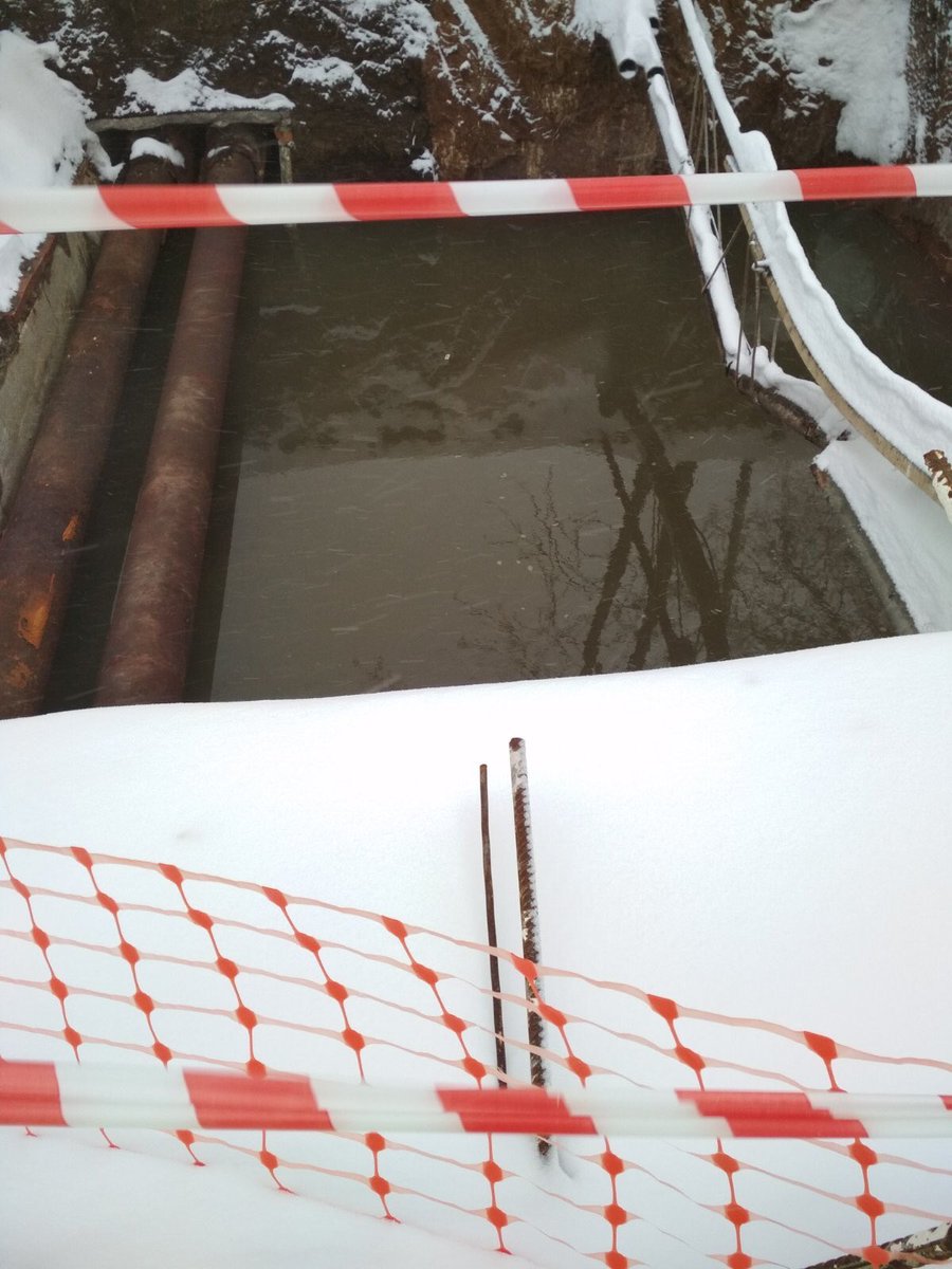 Евгения tweet media