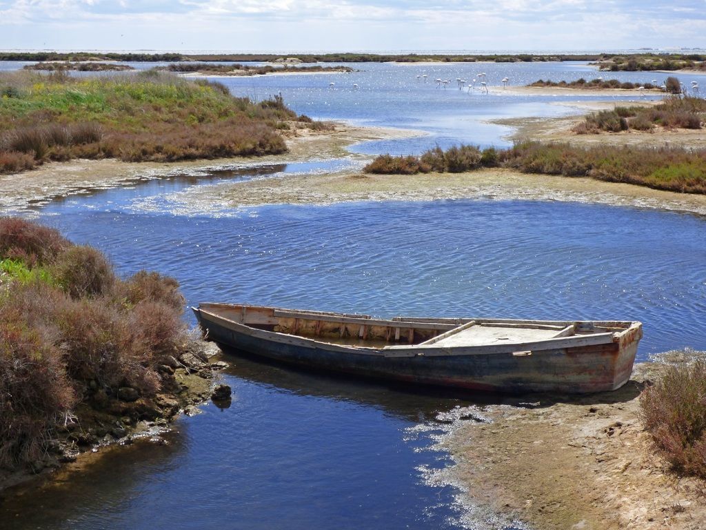 nwpnederland's tweet photo. Gain a better understanding of #water #financing in just 4 days! Join @NWPNederland &amp; @ihedelft's course Financing Water Investments for Water Professionals, starting 1 March. 
https://t.co/gwZ53oBE6J https://t.co/cBSDwLwoMf
