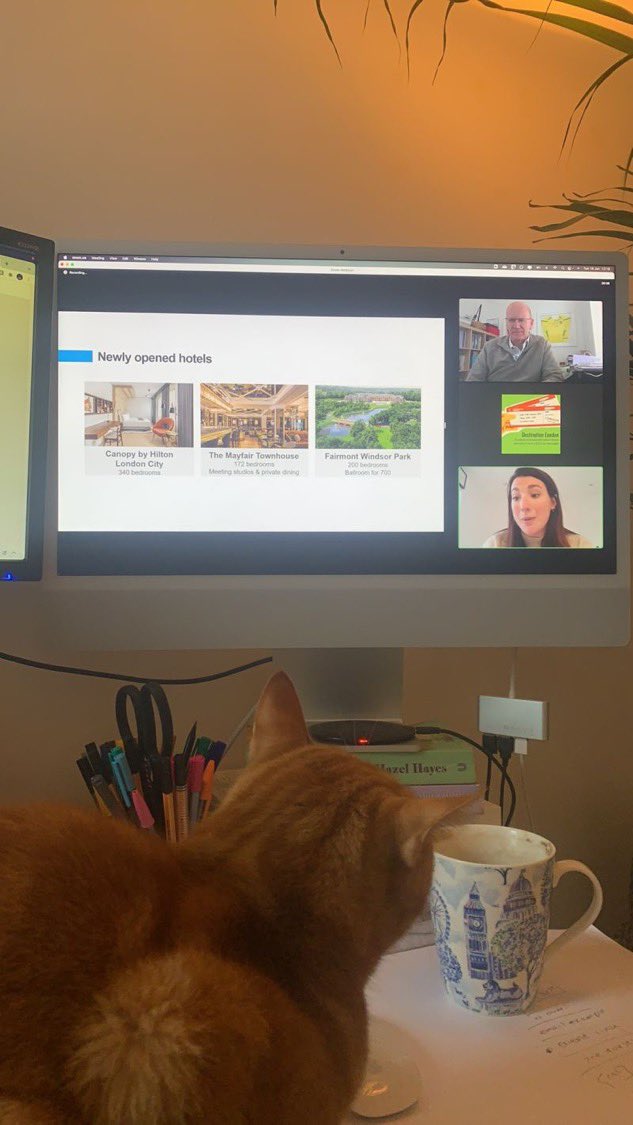 EMA (@ema_network) on Twitter photo Our Destination London session in partnership with <a href="/London_CVB/">London Convention Bureau</a> is so good even our corporate cat is engaged!
If you couldn’t make the session it will be available on our website from tomorrow.
Thanks again <a href="/RachaelBoraston/">Rachy B</a> and <a href="/London_CVB/">London Convention Bureau</a> for the great session. Our Destination London session in partnership with <a href="/London_CVB/">London Convention Bureau</a> is so good even our corporate cat is engaged!
If you couldn’t make the session it will be available on our website from tomorrow.
Thanks again <a href="/RachaelBoraston/">Rachy B</a> and <a href="/London_CVB/">London Convention Bureau</a> for the great session.
