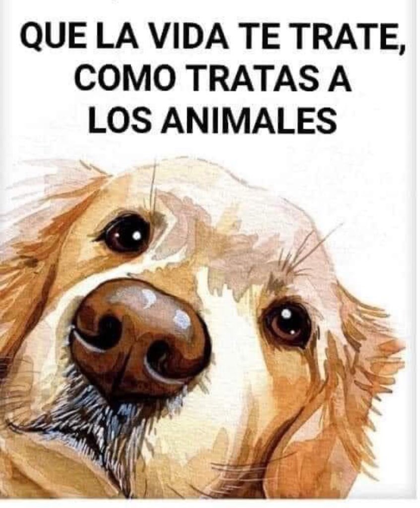 Dra. L De Anda tweet media