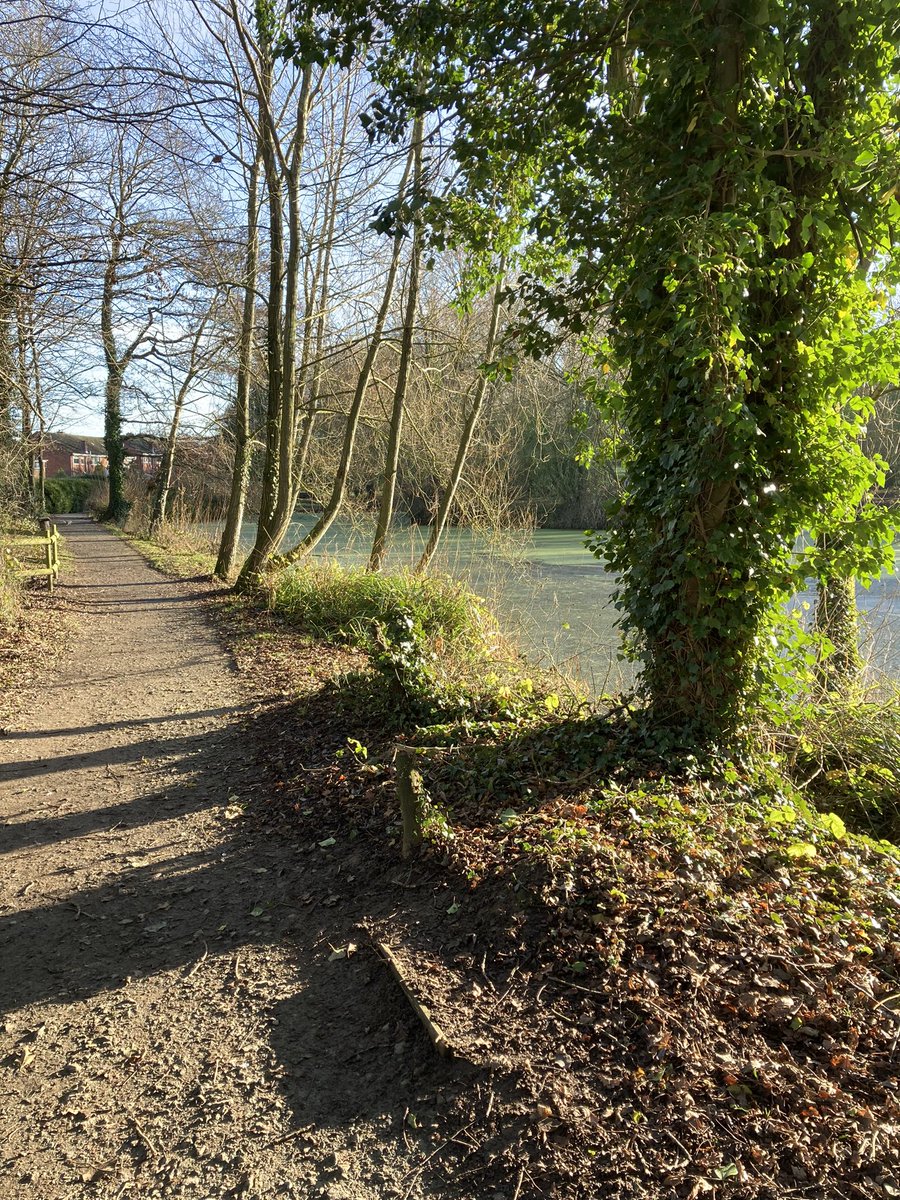 Wendy kathryn Owen Author tweet media