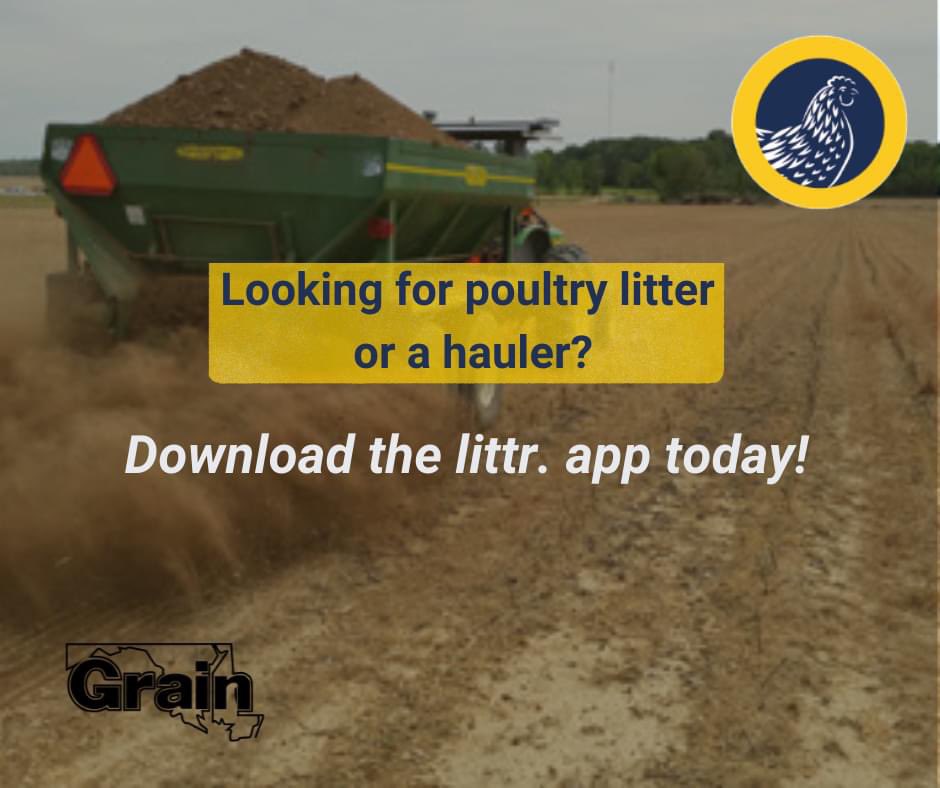 Are you looking for poultry litter or a hauler? The <a href="/dcachicken/">Delmarva Chicken Association</a> has an app for that!

Search "littr." in the app store to download. Farmers with poultry litter to sell, farmers looking to buy poultry litter, and haulers can list their services. 

#MDGrain #DCA #LittrApp