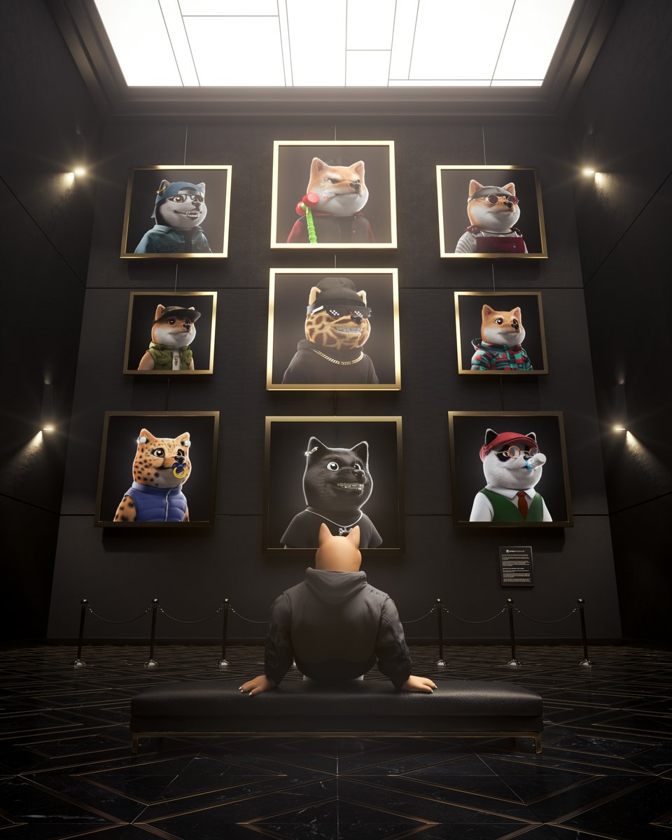 Welcome to the museum of the Baby Shibas 🔥