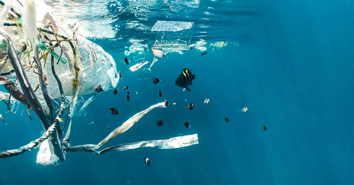 De wereld bestaat voor ongeveer 70 procent uit water. Dat betekent dat het zwerfafval dat op straat wordt gegooid al snel in de zee terecht komt en dus lastiger bereikbaar is. Zo komt er alleen maar meer en meer plastic in de zee. Dat is onnodig!