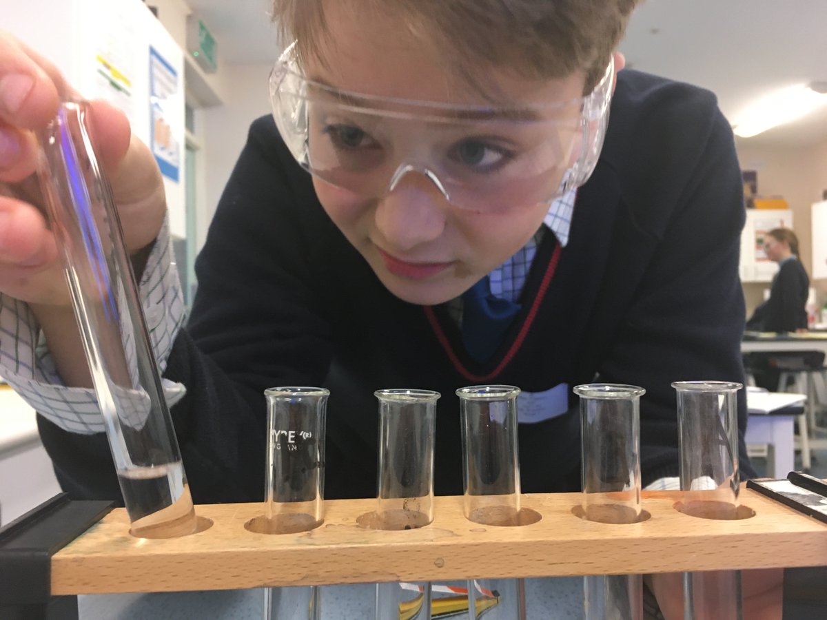 pinewoodprepsch's tweet photo. The year 6's this morning had a fantastic science lesson conducting pH tests.
#youngscientist #makinglearninganadventure #Pinewoodprepschool https://t.co/COurn2q0bX