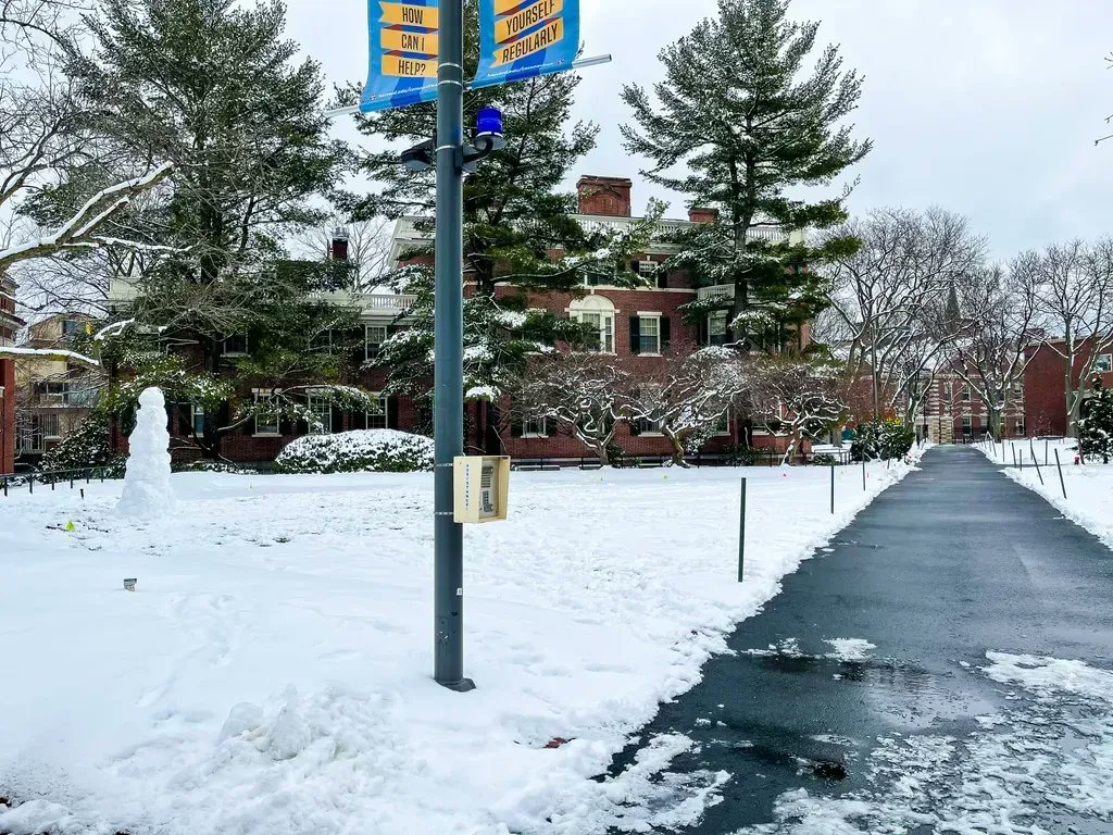 A snowy day on campus #HarvardinWinter