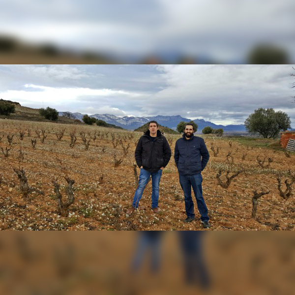 ABRA_Vino's tweet photo. #Artuke Bodegas y Viñedos. Este nombre viene de Arturo y Kike, los hermanos que trabajan la bodega. Ubicados en #BañosdeEbro buscan, y consiguen, extraer la máxima expresión del terroir y reflejarla en sus vinos.
📸 Blog de Rioja Alavesa
#FONDOSFEADER https://t.co/QN05CYoC5I