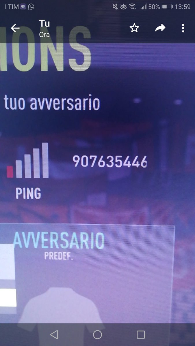 PeppeWolf tweet media