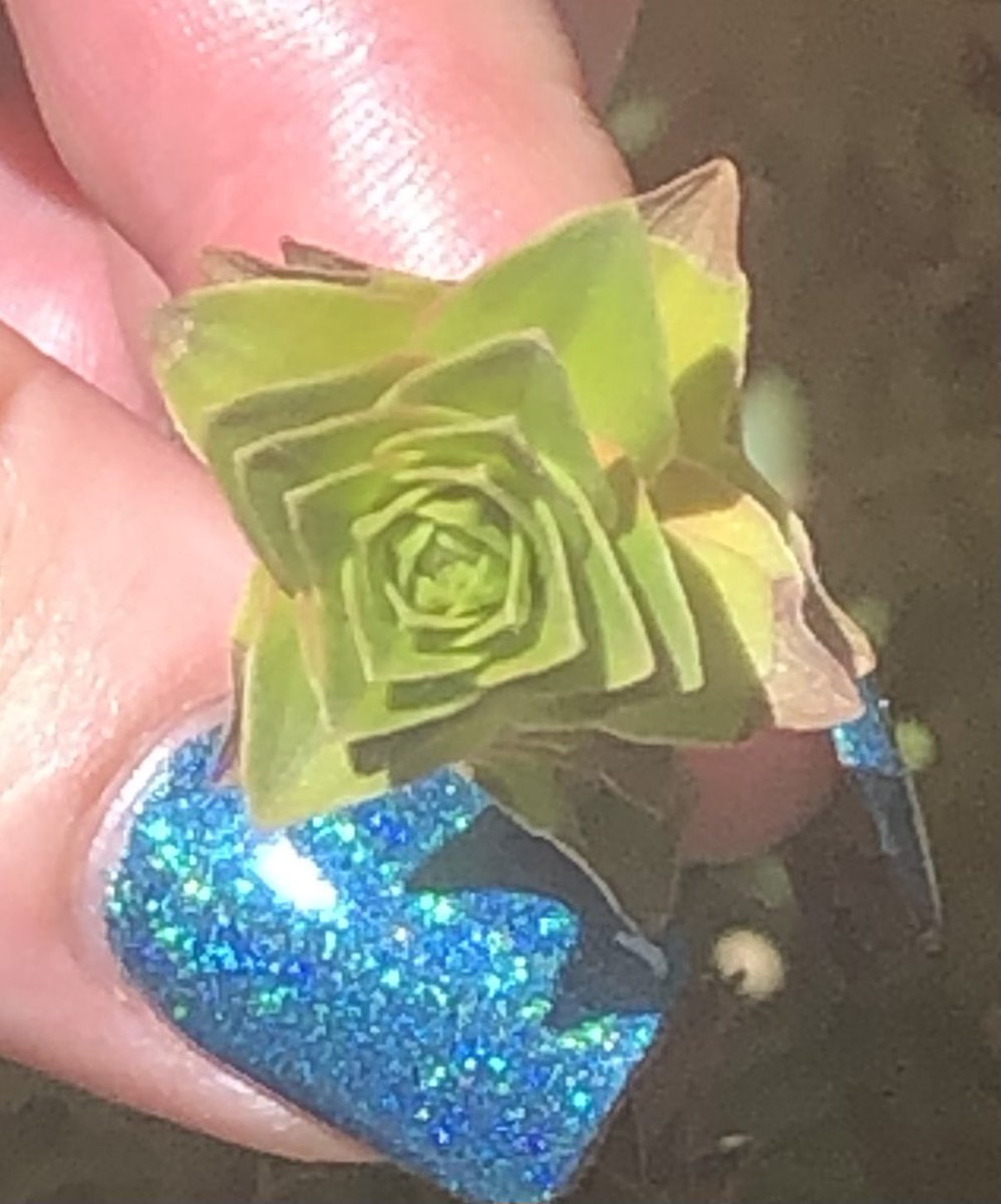 There’s even maths on bluff knoll #beautyinmaths <a href="/mathyawp/">Francis Su - mostly posting at 🦋</a> <a href="/MAWAinc/">MAWA</a>