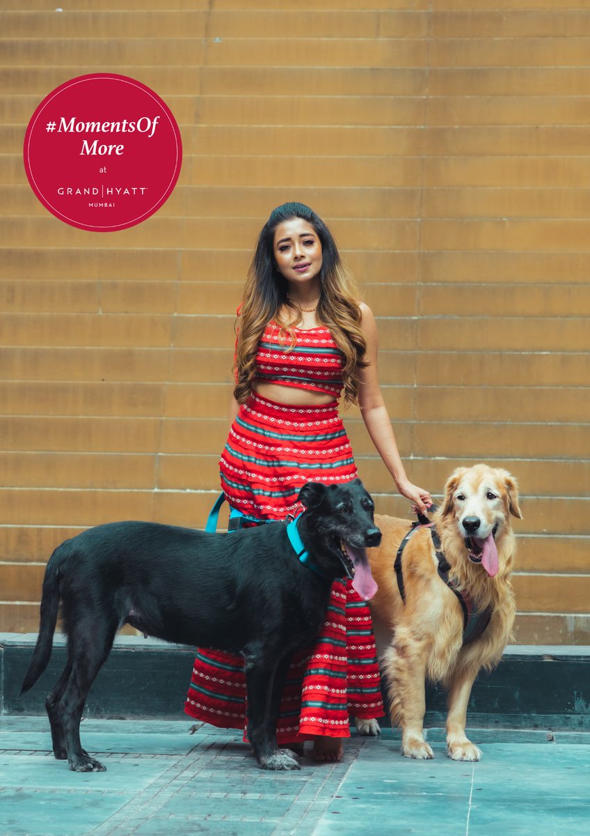 GrandHyattMum's tweet photo. It’s always good to have your furry friends by your side!
Our pet-friendly stay and amenities are crafted for a perfect pawcation with utmost safety for Tina dutta and her furry friends to share some #MomentsOfMore with us at Grand Hyatt Mumbai.
#GrandHyattMumbai #Petfriendly https://t.co/XgFwsPcRUj