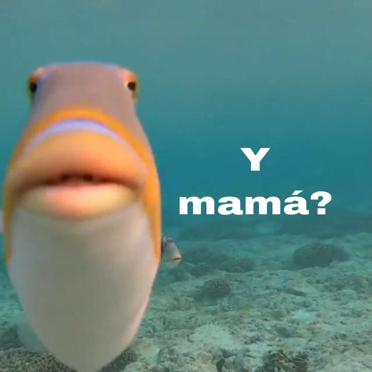 -Nadie:
-Absolutamente nadie:
- Yo cuando entro a mi casa o me levanto: