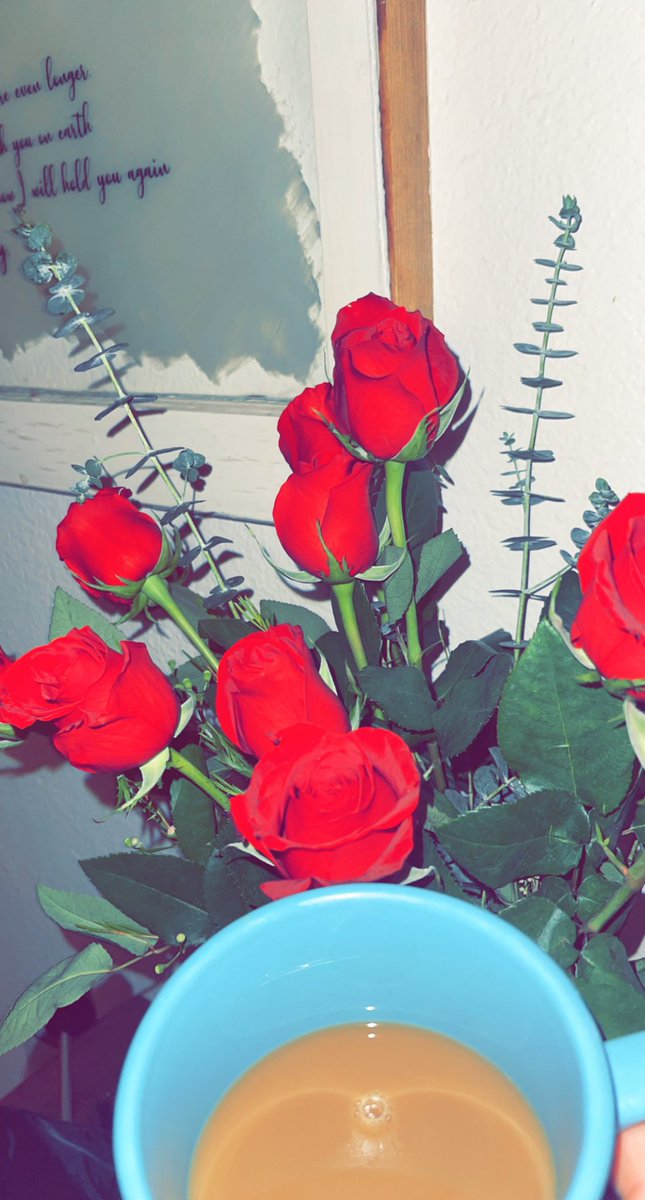 GenetheFlorist's tweet photo. https://t.co/yKQow6xd9z