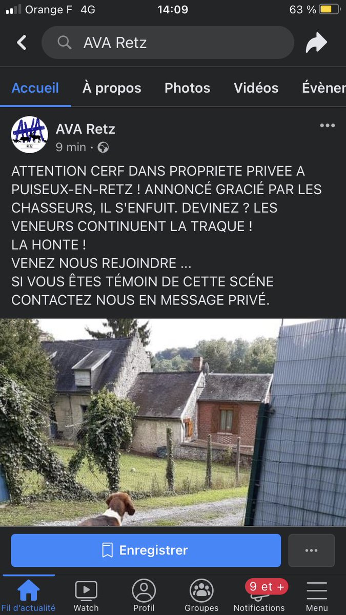 AimyG's tweet image. MENSONGE #ava : 

#avaretz annonce à 14h que le cerf gracié est finalement encore poursuivi par les chasseurs 🤪

LA VÉRITÉ : 

13:30, les chiens rentrent au chenil et les chasseurs se disent au revoir. 

En plus d’êtres harceleurs vous êtes des menteurs maintenant❓

@Prefet02