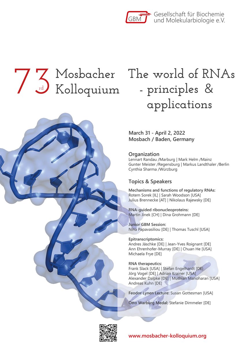 Join us at the 73rd Mosbacher Kolloquium: The world of #RNAs📢Deadline for early registration and abstract submission: January 31! GBM Young Members can apply for #TravelGrants at mosbacher-kolloquium.org (see “information” and “grants”)