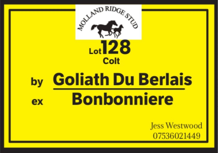 JessWestwood's tweet photo. Lot 128 @GoffsUK by Goliath Du Berlais ex Bonbonniere who is a full sister to @OliverSherwood Jersey Lady & @WillieMullinsNH Burrows Saint. The strong individual has superb conformation and a super athletic walk. #WinnerInTheMaking #FirstOfGoliathduBerlaisCrop @barton_yeo https://t.co/XVuPTeTNhZ