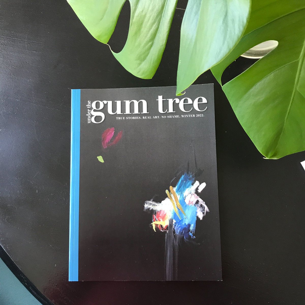 Under the Gum Tree tweet media