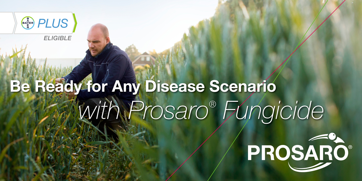 BayerCropProUS's tweet photo. Be prepared for anything with #Prosaro fungicide to help fight off diseases like #scab or #rust in your #wheat.
Our #CerealExperts resource center can help you stay ahead of the curve on protecting your crops. https://t.co/UBTWsn1Lh6
#CropProtection https://t.co/YegGB6S1lU