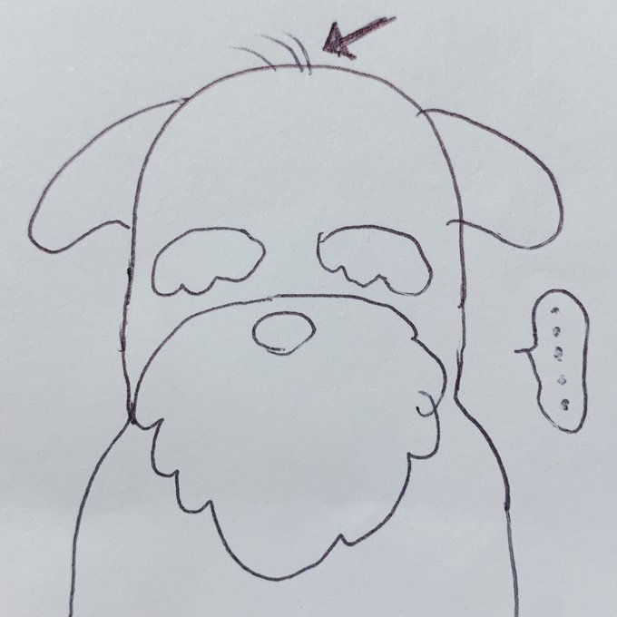 前髪になってほしいのに跳ねてしまう短い毛達 