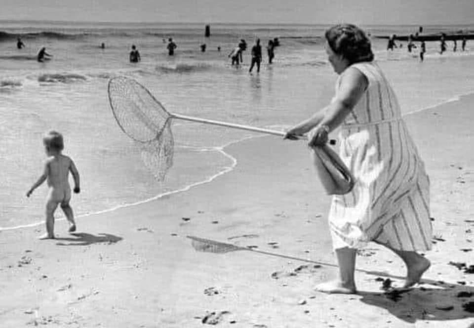 Ученые шутят. Тааак. Анекдоты про ученых и науку. Милые котики с надписями. Ним и вот он придумал.