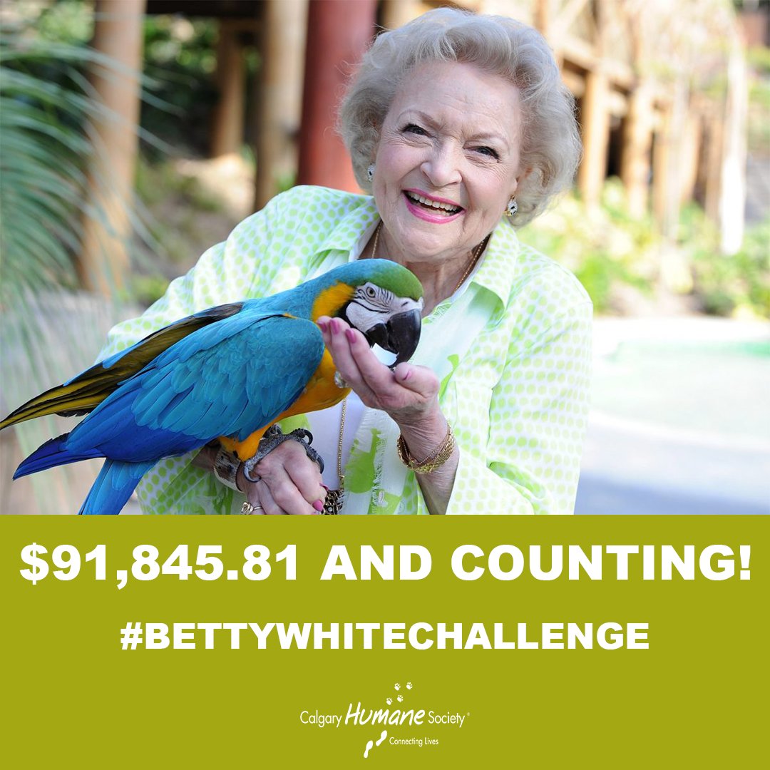 Spot Dog Walkers (spotdogwalkers) Twitter