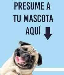 @ClubdeMinnies® tweet media