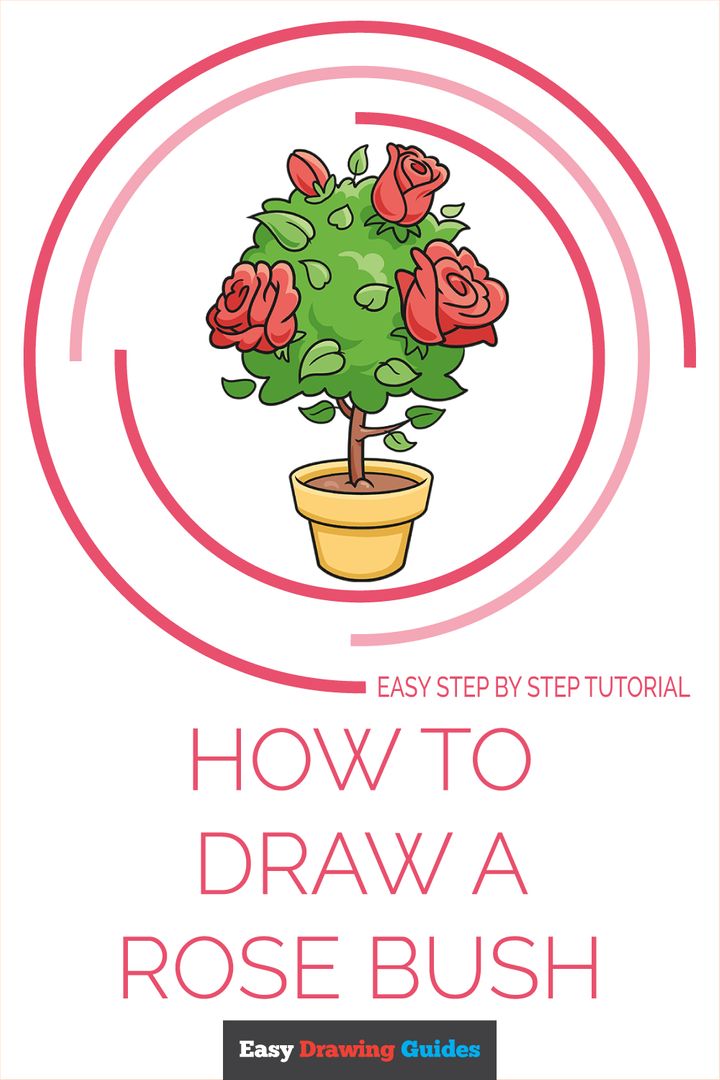 Rose Shrub Drawing, Green Bush s, flower Arranging, branch, artificial  Flower png | PNGWing