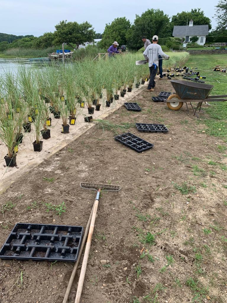 Peconic Garden and Landscaping (AndPeconic) Twitter