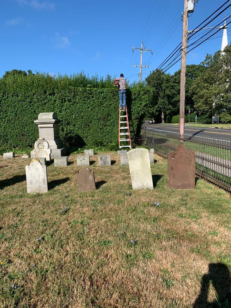 Peconic Garden and Landscaping (AndPeconic) Twitter