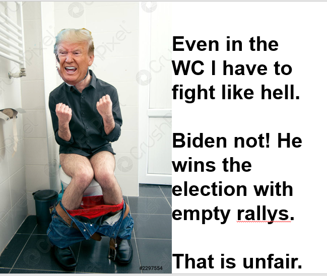 ThenAct's tweet photo. Remember @RealDonaldTrump always fight like hell. Against every one and each one. Even against 'GOP and in the Toilette (WC). see image #Trump #MAGA #RacistInChief #RapistInChief #cult45 #AmericsFirst https://t.co/pOEpXiHseI