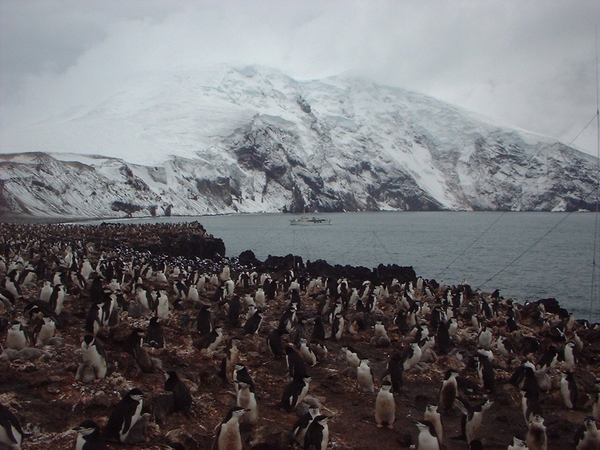 Dick PA3FQA (@pa3fqa) on Twitter photo 