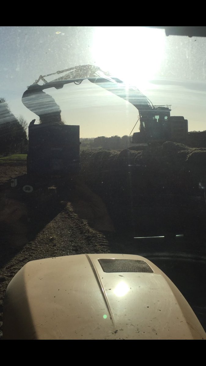 Field clamped for 4 months, we are carting our #foragemaize into the AD plant today, stunning January weather.