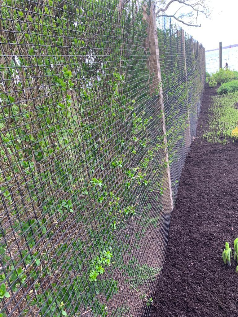 Peconic Garden and Landscaping (AndPeconic) Twitter