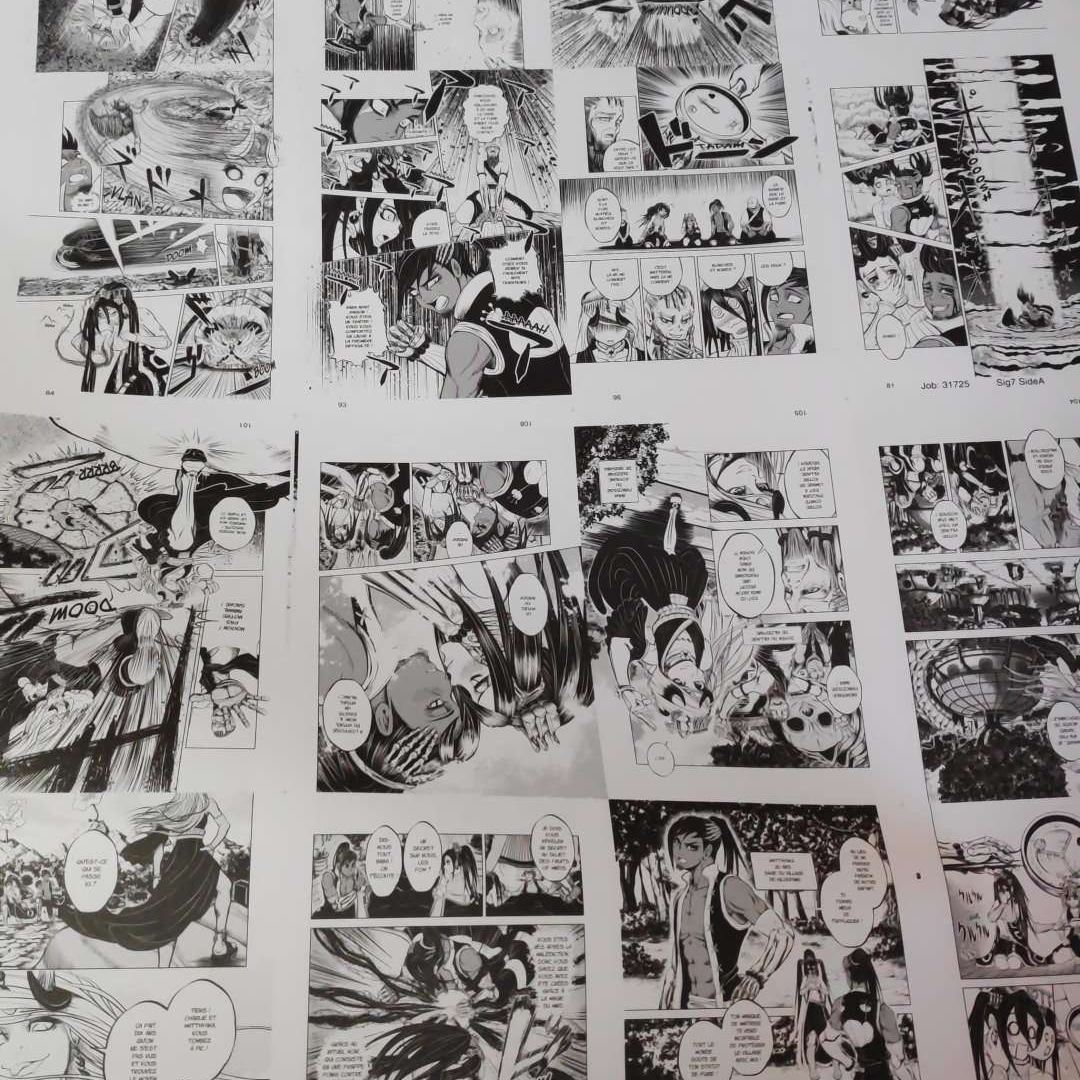 Ichigo Stories a été validé par nous et <a href="/anne_minh/">anne_and_minh</a> !! 🥳🥳🥳
Bref, on va bientôt l'avoir entre les mains et oui, c'est vraiment magnifique. 😋