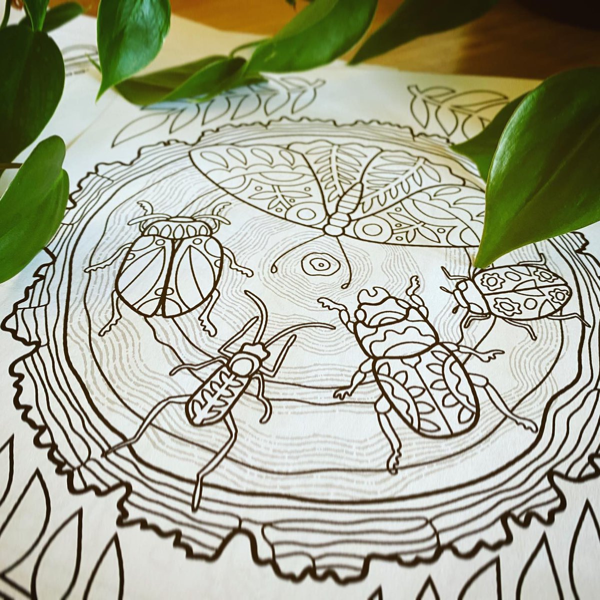 JenRacine1's tweet photo. I will keep posting colored pages from my newest book #15DecadesColoringBook but also…feels great to be back to drawing and some new pages 💚
#coloringbookartist https://t.co/v9qt2u0cQg
