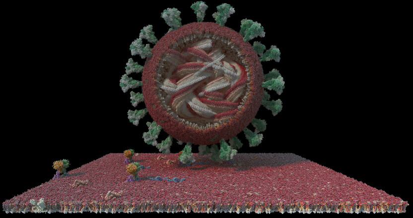 cyrille_favreau's tweet photo. I just released version 1.2 of the Blue Brain BioExplorer. More capabilities, and a simpler API.#OpenSource #SciVis #RayTracing #ScientificVisualization https://t.co/xEE57YqNrh https://t.co/2BYJOsmhN4