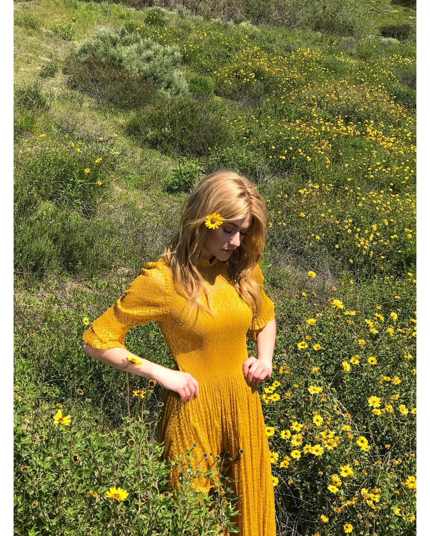 FJZ8lzgWYAQmlZW?format=jpg&name=large