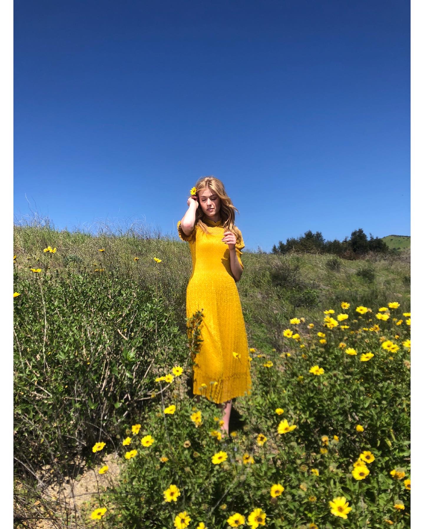 FJZ8lzjXMAIb-_n?format=jpg&name=large