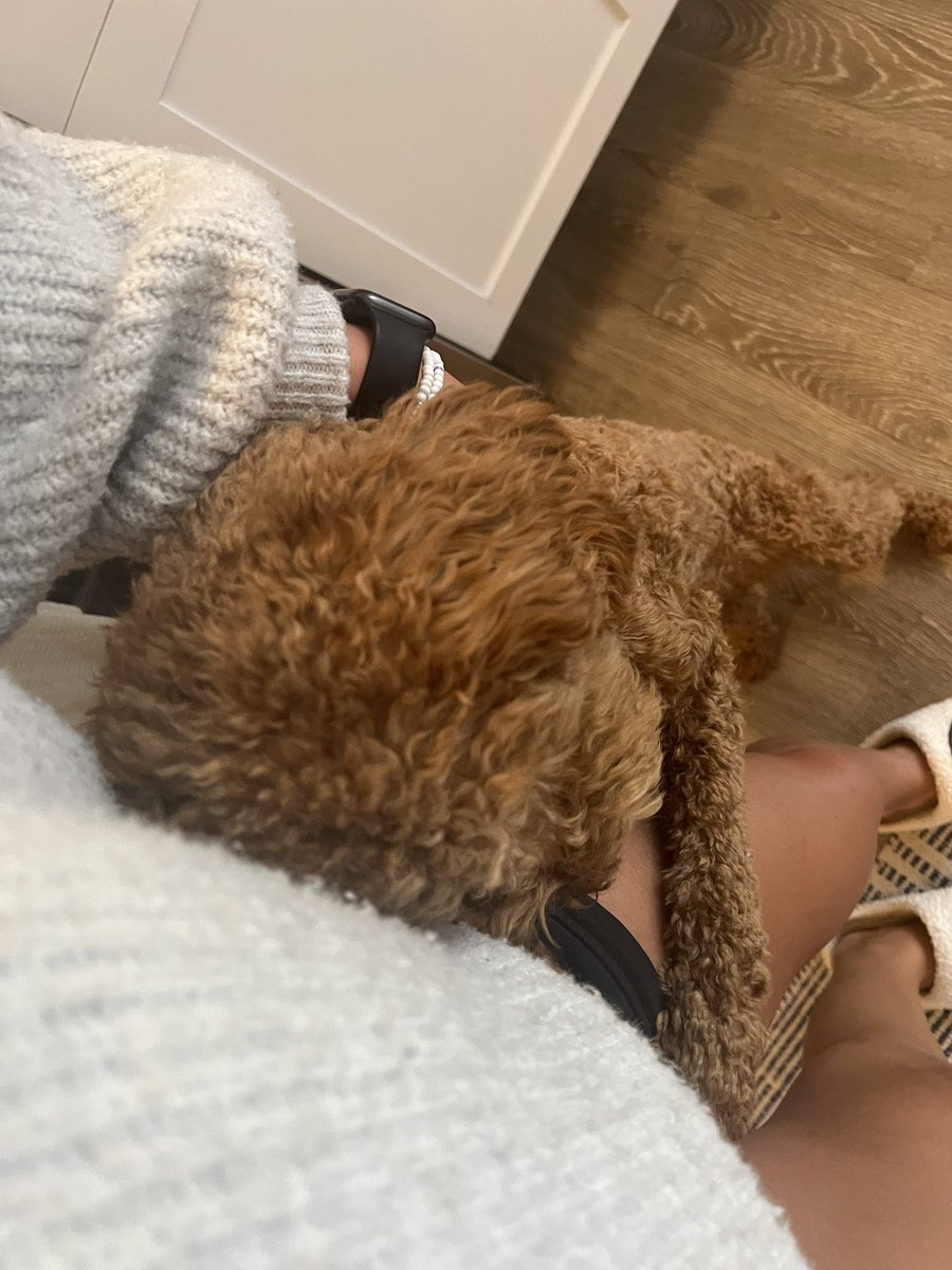 emmanichter1's tweet photo. progression of piper being TERRIFIED of the cleaning ladies 🥺🤣🤣🤣 https://t.co/ALTPKITJCm