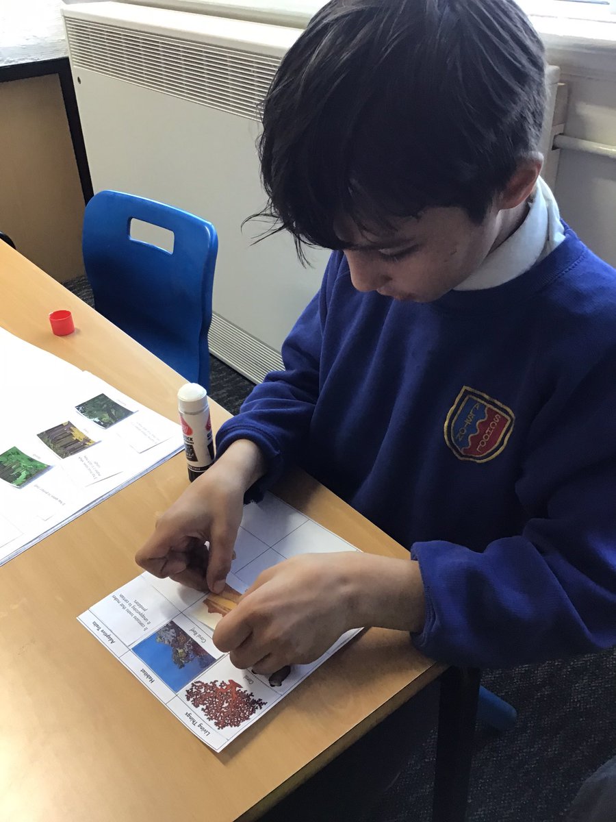 alstonprimaryb9's tweet photo. Year 6 are identifying how animals and plants have adapted to suit their environment. #Science #EvolutionandInheritance https://t.co/afdtrNEX7E