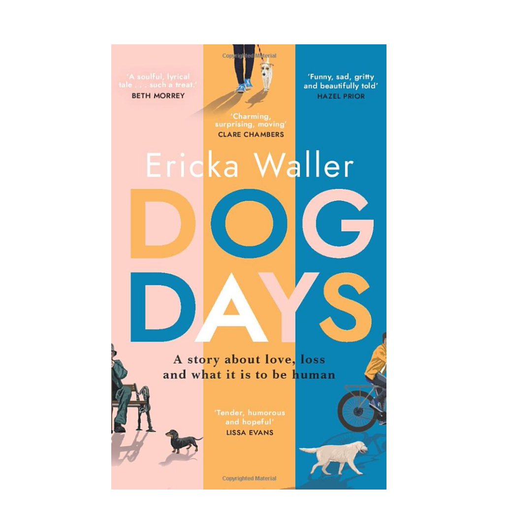 S J Watson - Thriller Writer tweet media