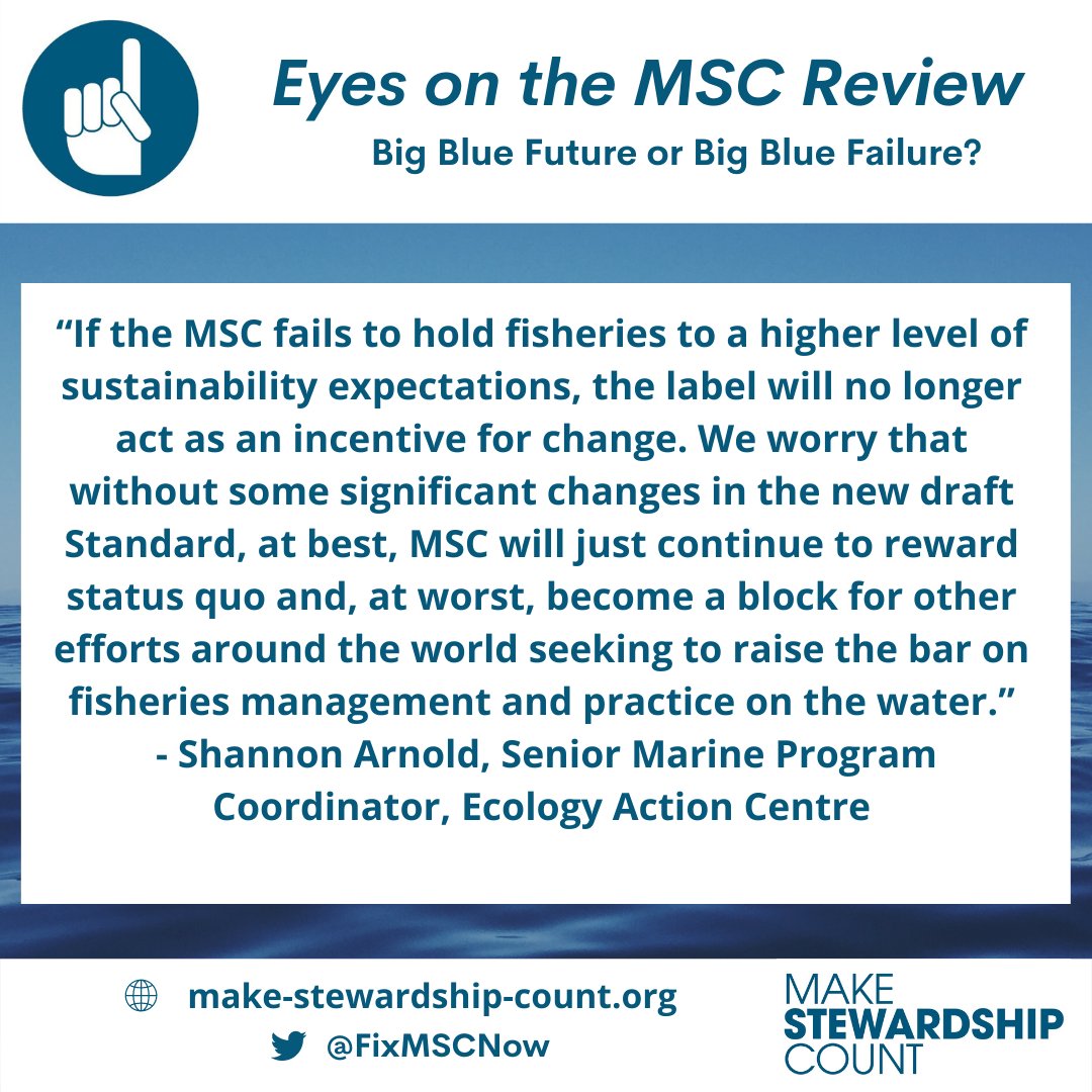 FixMSCNow's tweet photo. Will @MSCecolabel raise the bar for sustainable seafood or risk becoming a block to progress? Long awaited draft Standard coming Feb 1…https://t.co/82emM3XqYc

#MarineStewardshipCouncil #MakeStewardshipCount #SustainableSeafood #FixMSC https://t.co/PlAefJiHkb