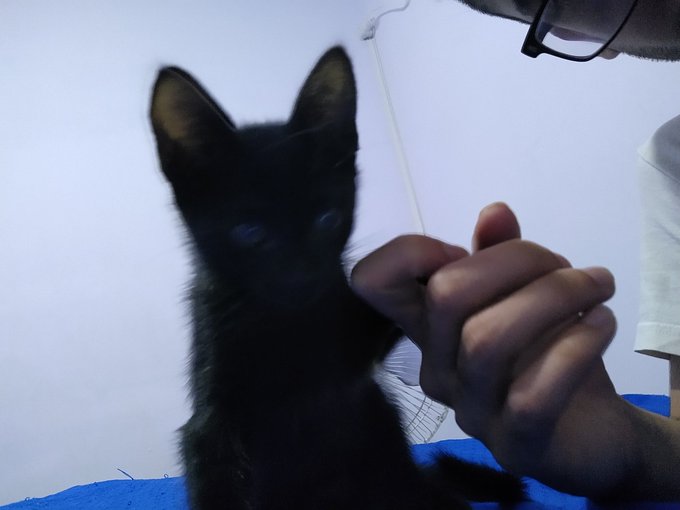 Pither n.n https://t.co/9doCmg5zl4